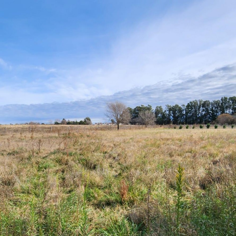 LOTE A 300 METROS DE ACCESO PRINCIPAL